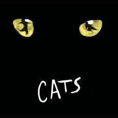 9/5(土)ミュージカルCATSダンスWS✨